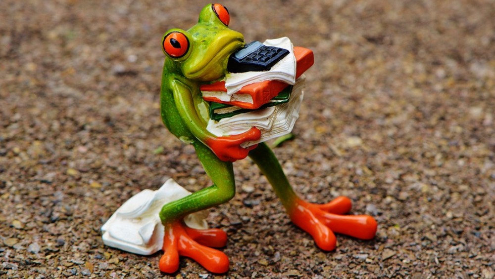 Выплата страховой по результату независимой оценки и суду